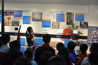 走进花花牛透明工厂 探索乳制品文化的奇妙旅程